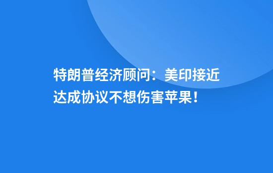 特朗普经济顾问:美印接近达成协议不想伤害苹果!