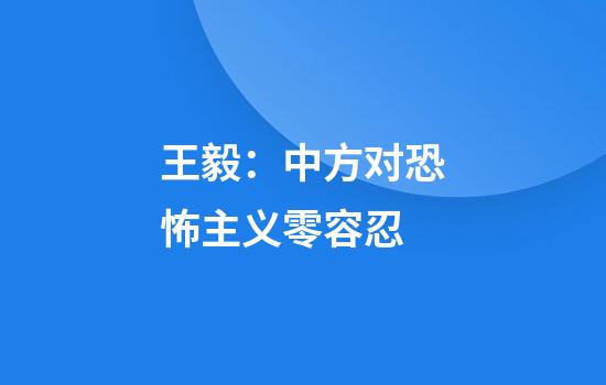 王毅:中方对恐怖主义零容忍