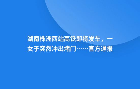 湖南株洲西站高铁即将发车,一女子突然冲出堵门……官方通报