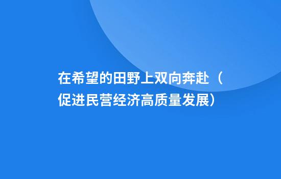 在希望的田野上双向奔赴(促进民营经济高质量发展)