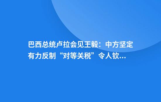 巴西总统卢拉会见王毅:中方坚定有力反制“对等关税”令人钦佩