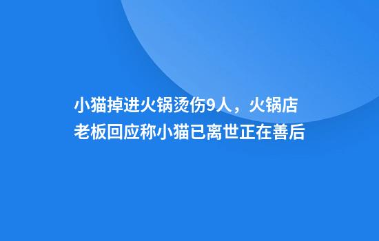 小猫掉进火锅烫伤9人,火锅店老板回应称小猫已离世正在善后