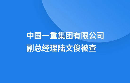中国一重集团有限公司副总经理陆文俊被查