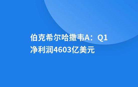 伯克希尔哈撒韦A：Q1净利润46.03亿美元