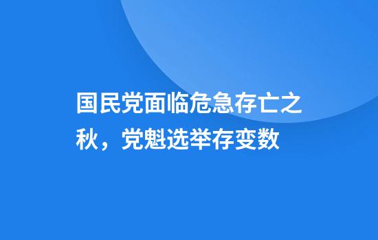 国民党面临危急存亡之秋,党魁选举存变数